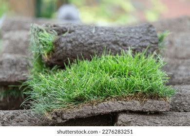 8,034 Sod Turf Grass Images, Stock Photos & Vectors | Shutterstock