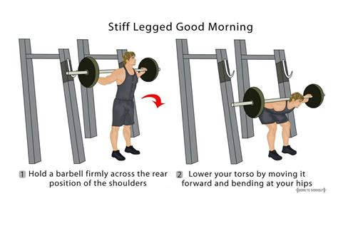 Good Morning Exercise: How to do, Form, Video, Pictures