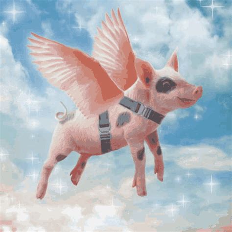 Pigs Fly When Pigs Fly GIF - PigsFly WhenPigsFly Pigs - Discover ...