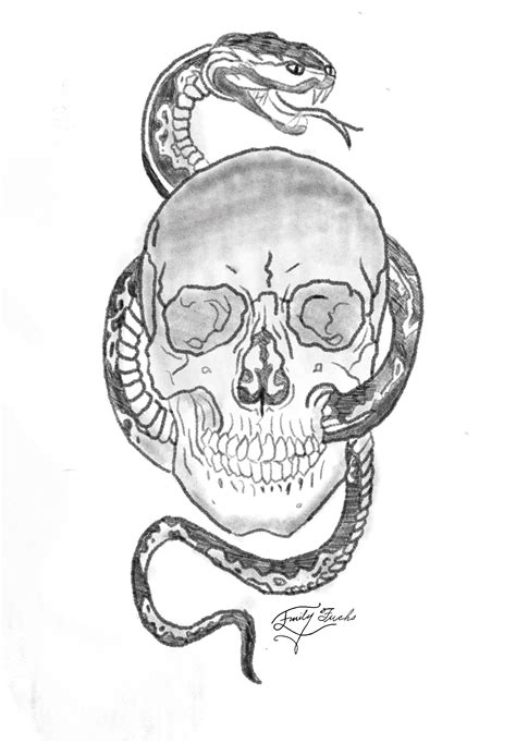 Snake Skull Drawing