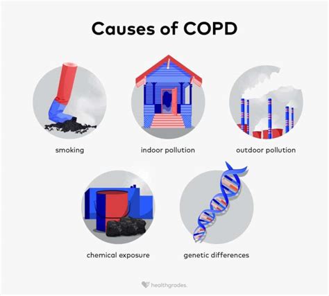 Chronic Obstructive Pulmonary Disease (COPD) Causes