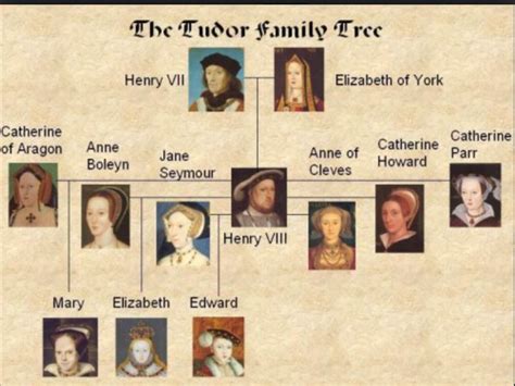 Family tree | The tudor family, Family tree, Tudor history