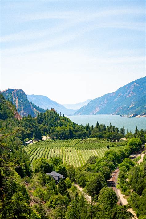 15 CHARMING Hood River Wineries (Guaranteed to Impress)