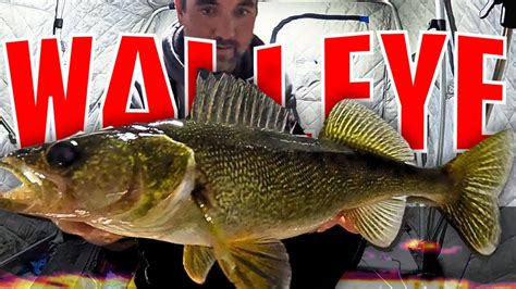 ice fishing for walleye | Learn This Rig - YouTube