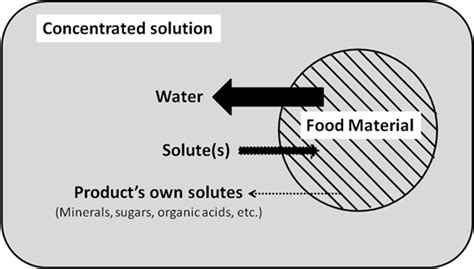 Fig.11.3 Diagrammatic presentation of OsmoticDehydration