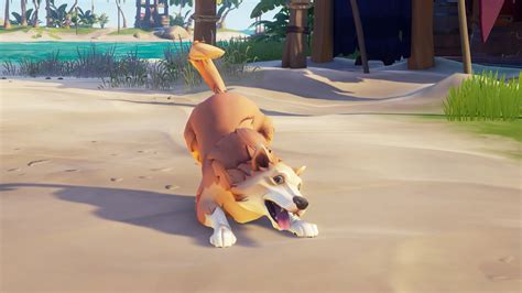 Sea of Thieves will add dogs with the September update