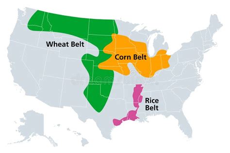 Corn Belt, Wheat Belt and Rice Belt of the United States, Political Map ...