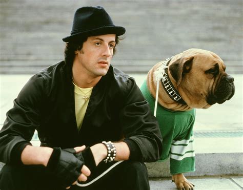 sylvester, Stallone, Rocky, Movies, 145, 2 Wallpapers HD / Desktop and Mobile Backgrounds