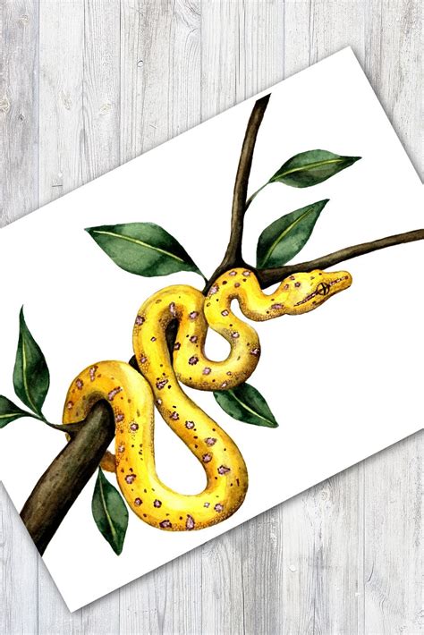 watercolor snake | Watercolor art, Art painting, Snake drawing