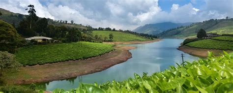 About Valparai – Briar Tea Bungalows