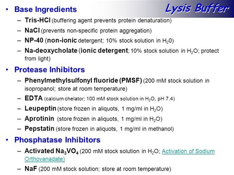 Ripa Lysis Buffer