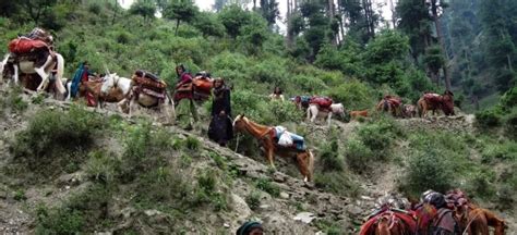 Gujjar, Bakarwal leaders welcome implementation of Forest Rights Act in J& hails L-G Sinha for ...