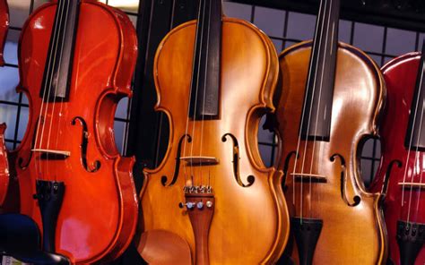 17 Best Violin Brands for Beginner & Intermediate Students 2024