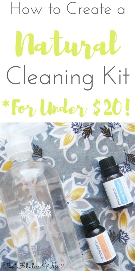 How to Create a Natural Cleaning Kit for Under $20!