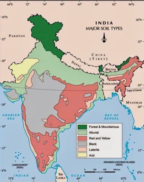 INDIA SOIL MAP | Gk India Today