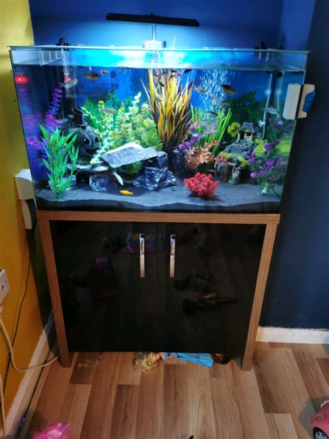 Fish tank aquarium full set up | in Aspley, Nottinghamshire | Gumtree