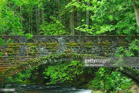 84 Whatcom Falls Park Stock Photos, High-Res Pictures, and Images ...