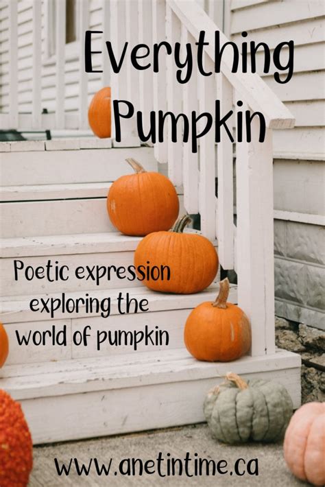 Everything Pumpkin - A Net in Time