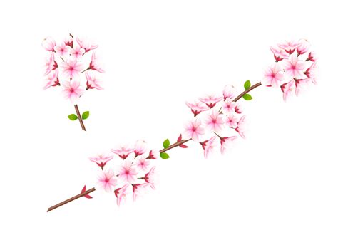 Cherry Blossom Pink Flowers Anime Plants 1920x1080 Wa - vrogue.co