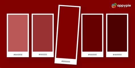 Maroon Color: All You Need to Know