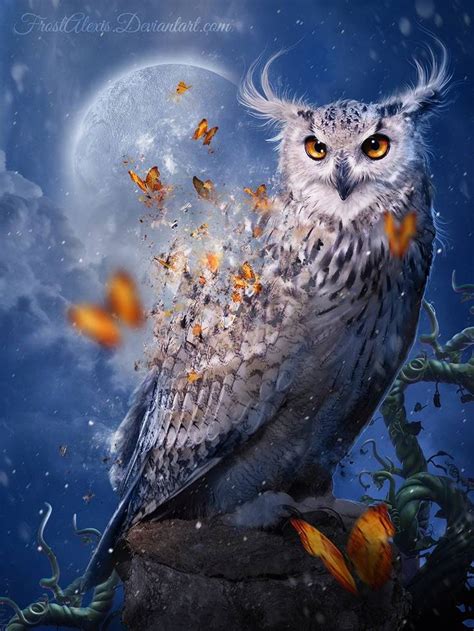 fantasy owl | Owl artwork, Owl illustration, Owl pictures