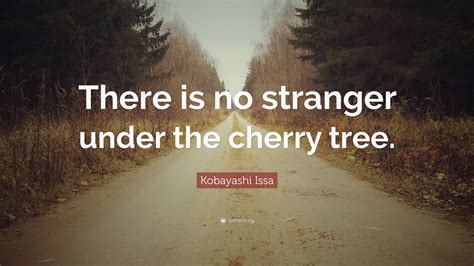 Kobayashi Issa Quote: “There is no stranger under the cherry tree.”