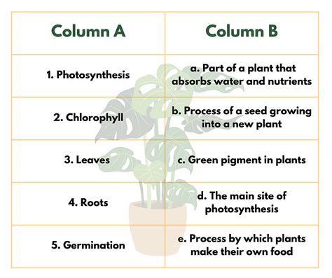 Plant Life - 1 Class 5 Worksheet Science