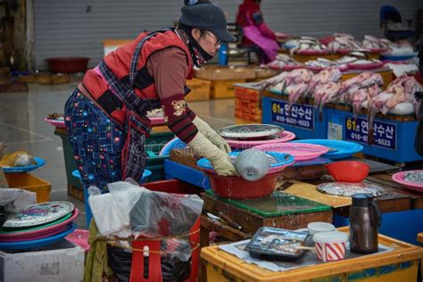 Jagalchi Fish Market the Largest Seafood Market in Busan South Korea Editorial Stock Image ...