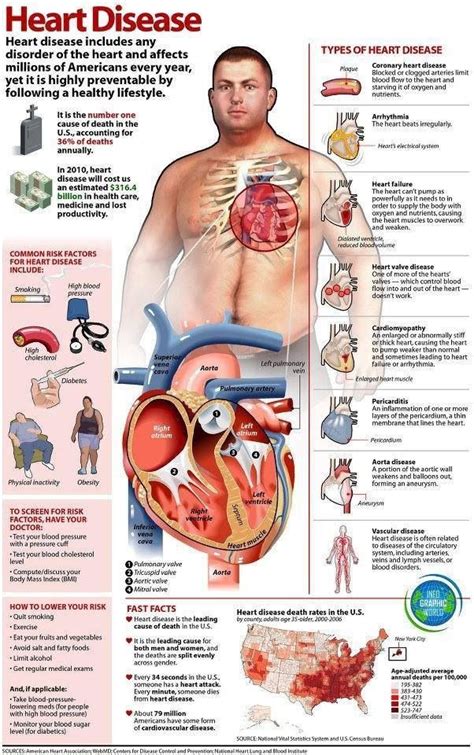 Cardiology | Disease infographic, Medical education, Cardiac nursing