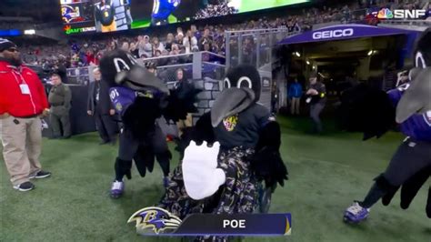 RAVENS MASCOT "POE" RETURNS FROM PRESEASON LEG INJURY 🔥 - YouTube