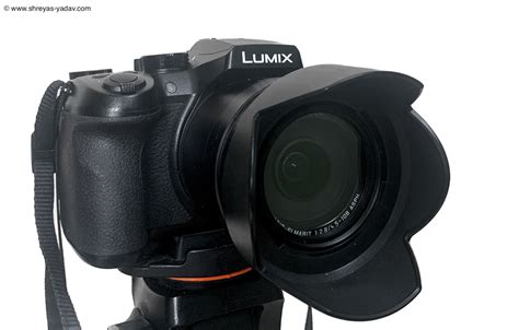 Best Bridge Camera for Wildlife Photography: Lumix FZ300