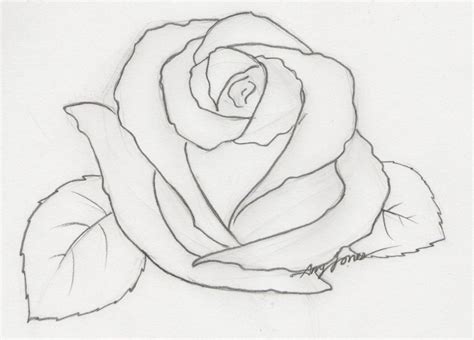 Pencil Drawing Pictures Of Roses 1000 Images About Beautiful Drawn ...