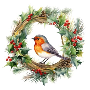 Christmas Robin PNG Transparent Images Free Download | Vector Files | Pngtree