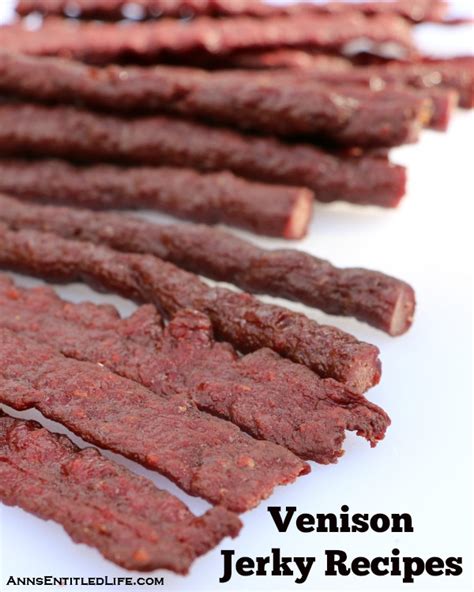 Venison Jerky Recipes