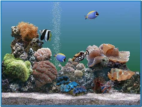 🔥 Download Animated Aquarium Screensaver Car Tuning by @calebm72 | Animated Screensavers and ...