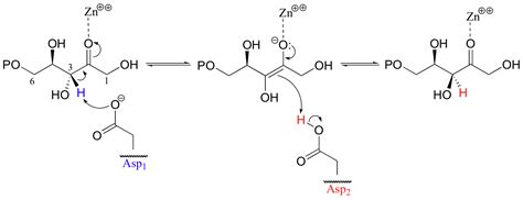 13.2: Isomerization reactions - Chemistry LibreTexts