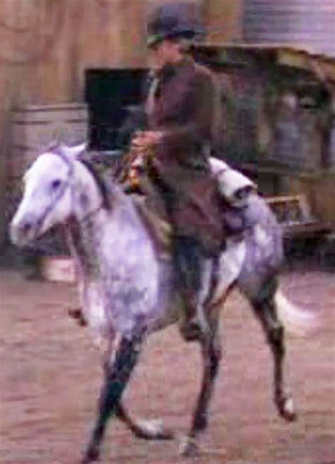 Clint Eastwood - Pale Rider - The preacher - Writeups.org