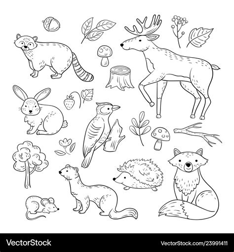 Sketch forest animals woodland cute baby animal Vector Image