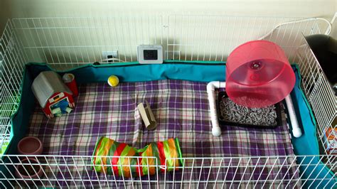 Cage Setup Examples - Page 98 | Hedgehog pet, Hedgehog cage, Homemade cat toys