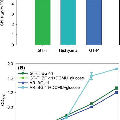 The properties of Synechocystis sp. PCC 6803 substrain GT‐T. (A ...