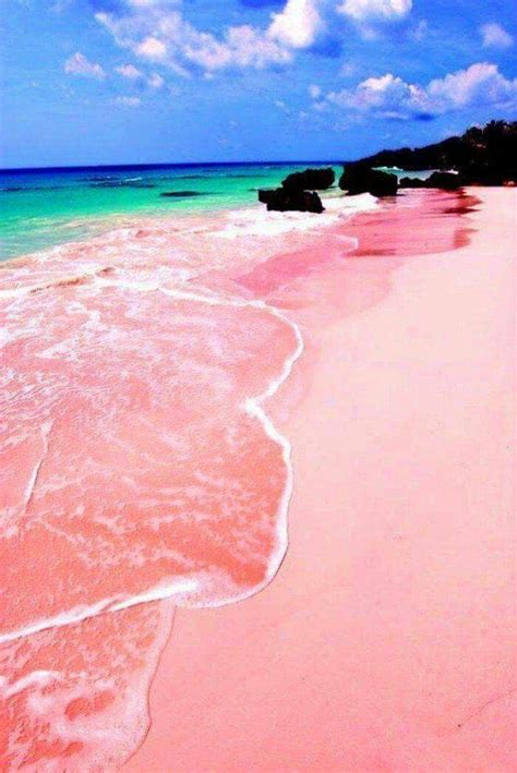 Pin by Serenda Ott on Bucket list | Pink sand beach, Pink sand beach ...