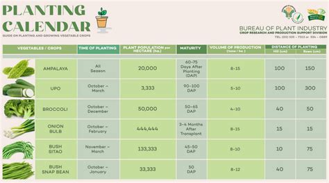 Vegetable Planting Schedule and Calendar in the Philippines - Agriculture Guide | Planting ...