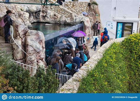 Monaco Oceanographic Museum and Aquarium Editorial Stock Image - Image ...