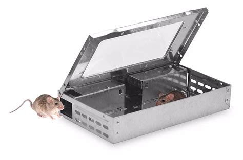 Mouse LIVE Trap with window Multi Catch Clear Top Humane Repeater Mouse ...