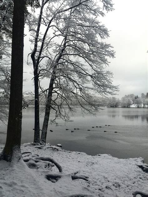 German Winter Landscape stock image. Image of tree, woodland - 75953069