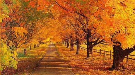 🔥 Download Xmwallpaper Wallpaper Other Landscape Autumn Road by ...