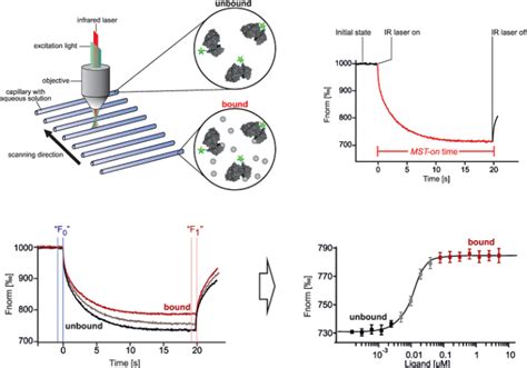 Microscale Thermophoresis (MST) - Integrated Structural Biology, Grenoble