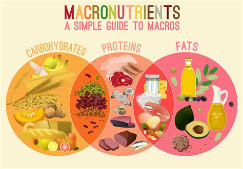 Macros: What Are They and How To Count Them | Performance Lab®