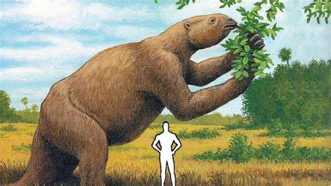 The Largest Ground Sloth Ever Found: A Behemoth From The Pleistocene Epoch – MudFooted