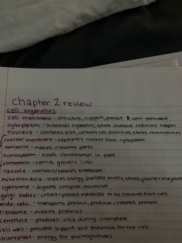 biology chapter two Flashcards | Quizlet